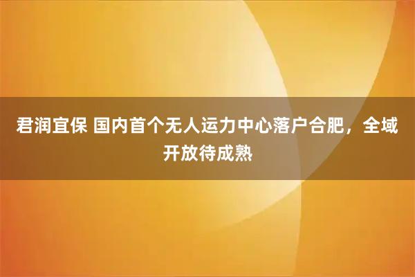 君润宜保 国内首个无人运力中心落户合肥，全域开放待成熟