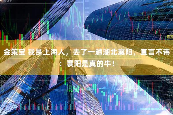金策宝 我是上海人，去了一趟湖北襄阳，直言不讳：襄阳是真的牛！