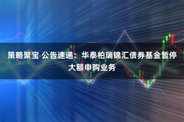 策略聚宝 公告速递：华泰柏瑞锦汇债券基金暂停大额申购业务