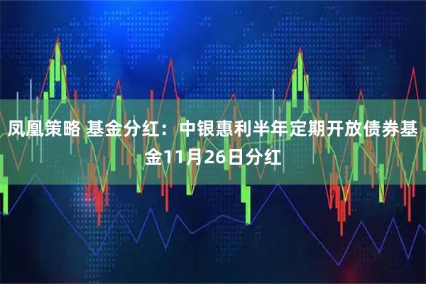 凤凰策略 基金分红：中银惠利半年定期开放债券基金11月26日分红
